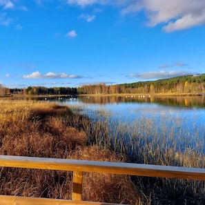 Property grounds - Swedish-style guest house in the beautiful nature and tranquillity of central Sweden. (Stöde)