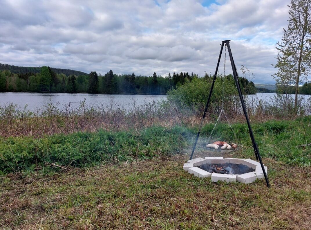 A campfire with a tripod, surrounded by grass and bushes, near a lake with trees in the background.