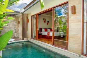 Luxury Villa | 1 bedroom, in-room safe, iron/ironing board, free WiFi