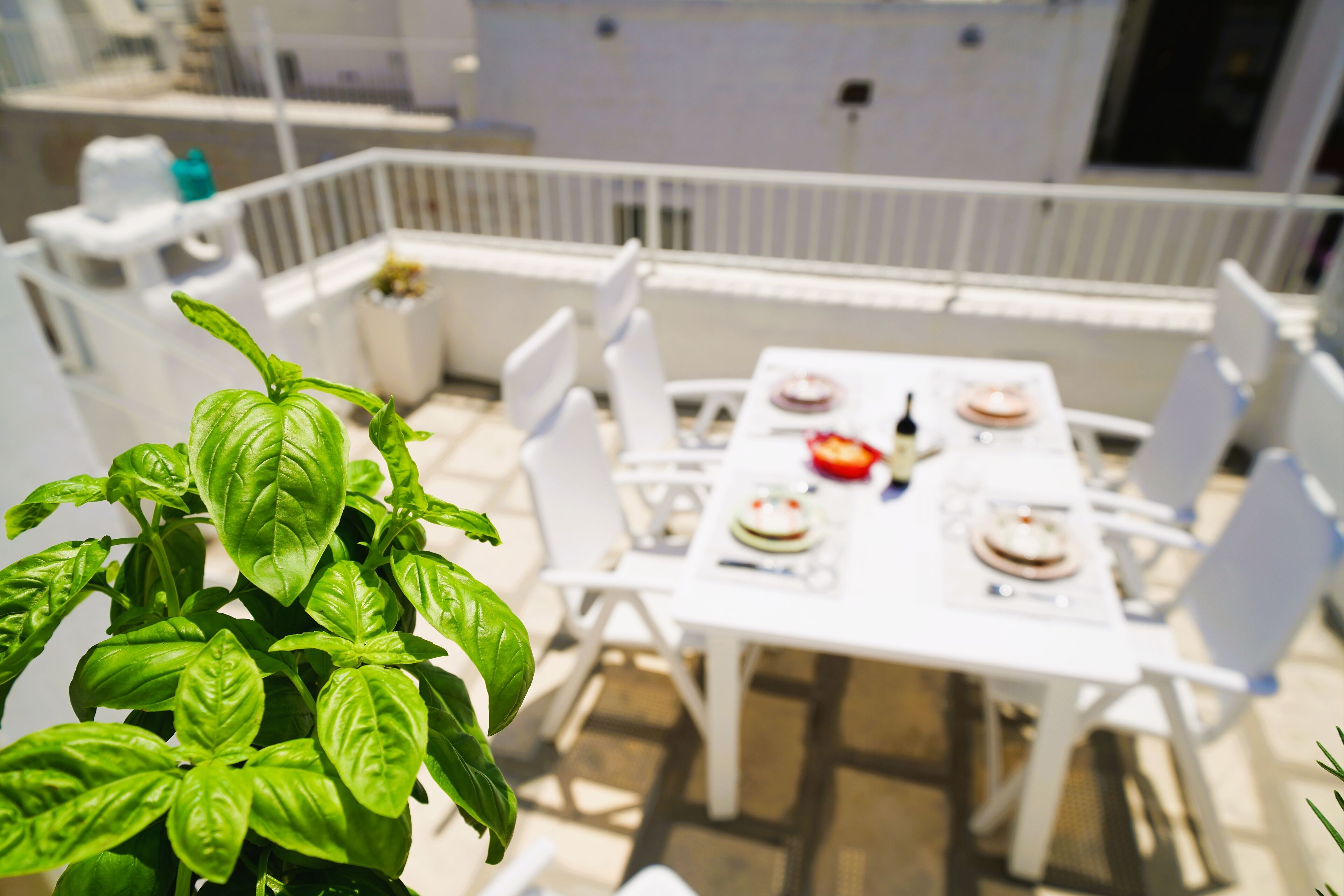 A patio with a table set for dining, surrounded by white chairs, and a potted basil plant in the foreground.