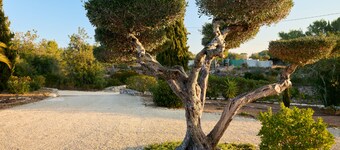 Casa Nuria, beautiful house with garden & pool, quiet location, 4km from the sea