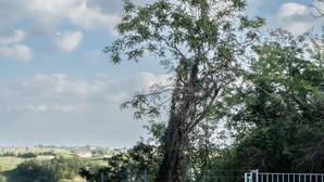 Un espace piscine offrant une vue sur la campagne, entouré d’une clôture en métal et agrémenté de chaises jaunes et d’une chaise longue.