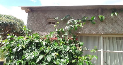 Garden Guest House Bed & Bre Chitungwiza