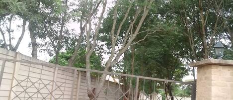 Entrada de la propiedad