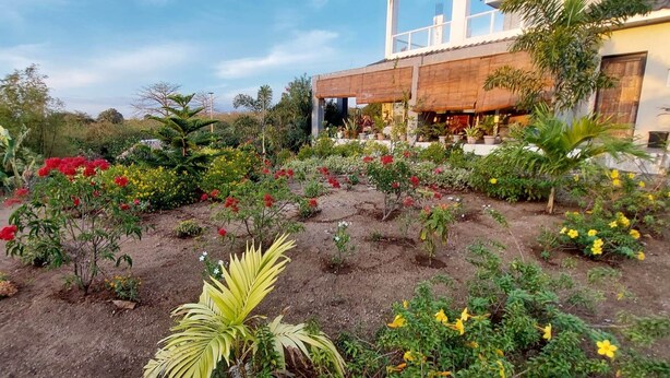 A garden with various plants and flowers, a building with a wooden facade, and a clear sky. - Casa Atalaya - 2 BR seaview Home at Calatagan (CALATAGAN)