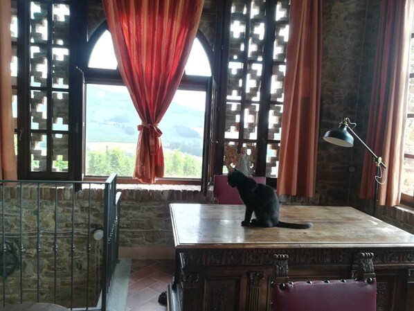 Interior - Rustic cottage among hills and vineyards for families and friends (alta val tidone)