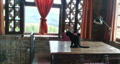 Rustic cottage among hills and vineyards for families and friends