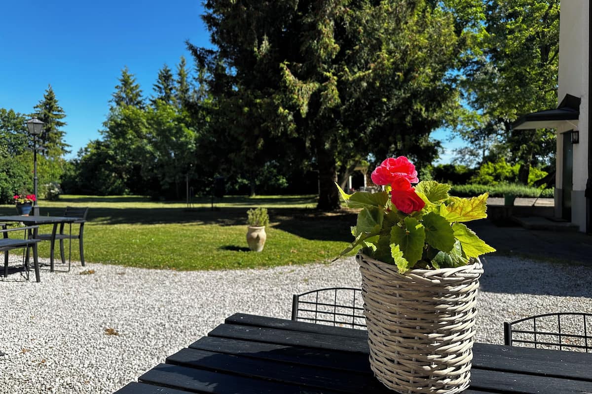 A garden area with a wicker basket containing flowers, a bench, and a table.
