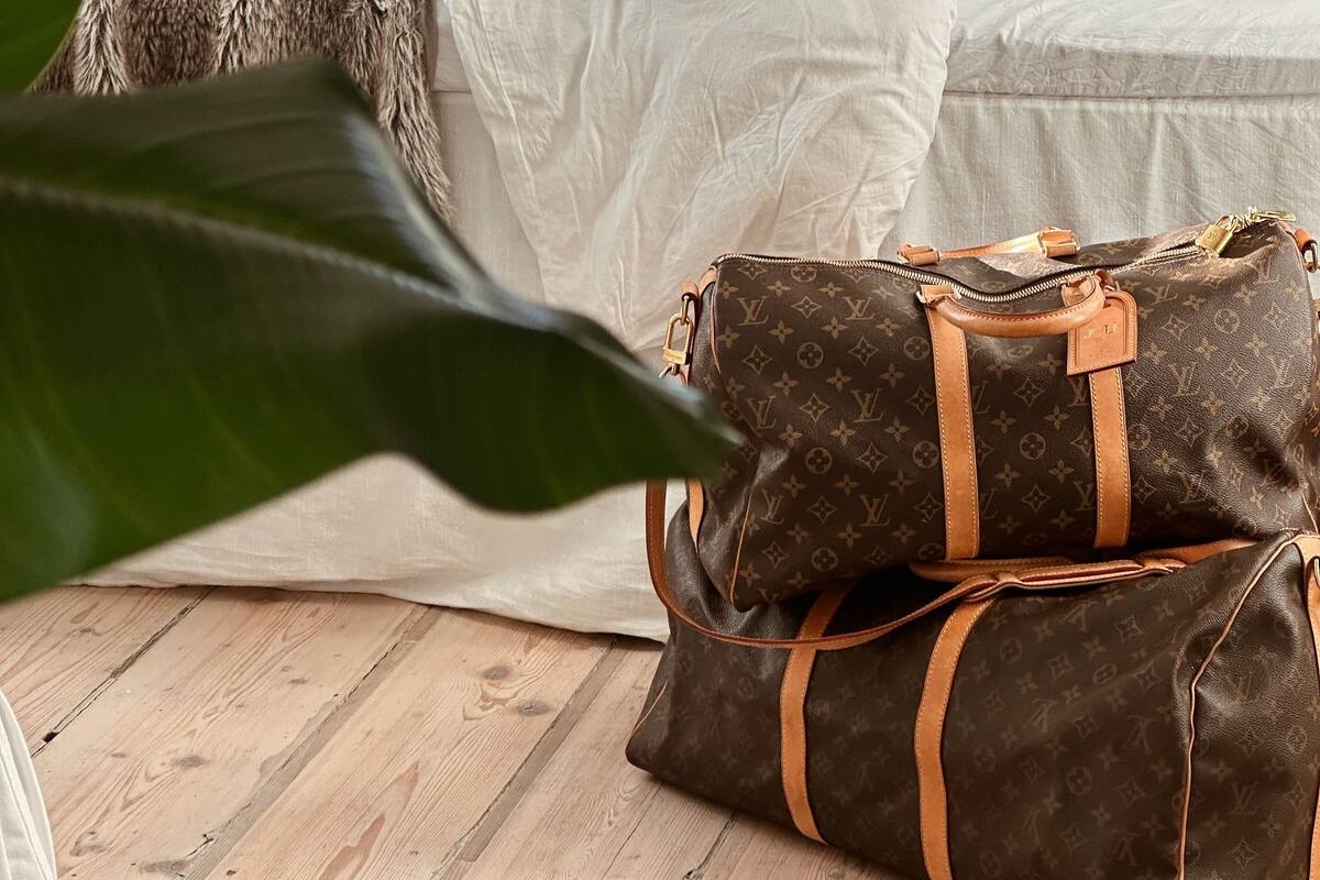A bedroom with a bed, a bedside table, a potted plant, and a handbag on the floor.