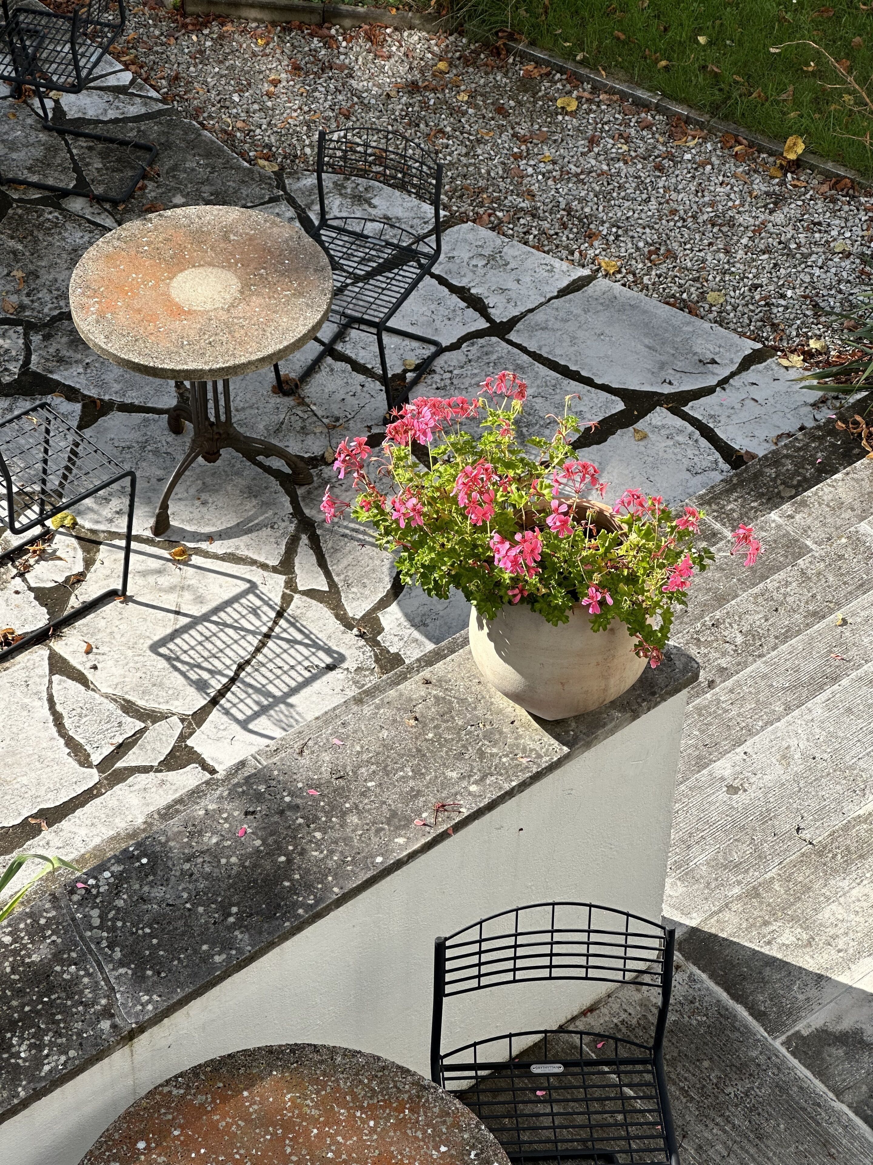 A patio area with a round table and chairs, a potted plant with pink flowers, and a stone floor with a crack pattern.