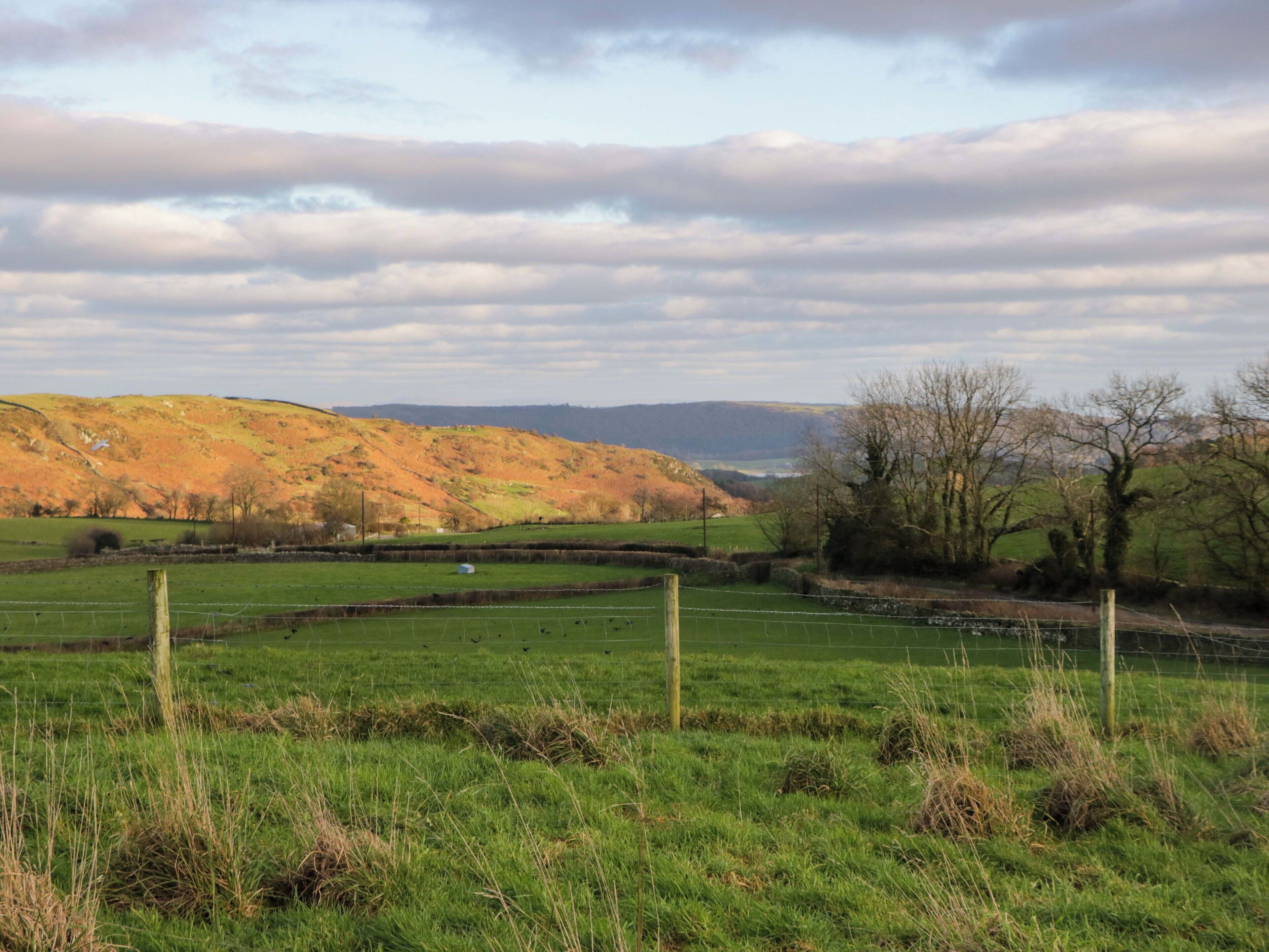 A rural landscape with rolling hills, a fenced field, and a distant view of mountains.