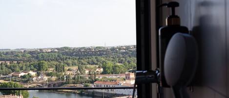 A view from a window overlooking a river with a bridge, buildings, and greenery.