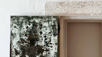 Una puerta con pintura desgastada y desconchada, y el número '105' en la parte superior.