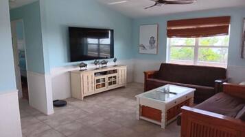 Télévision, livres