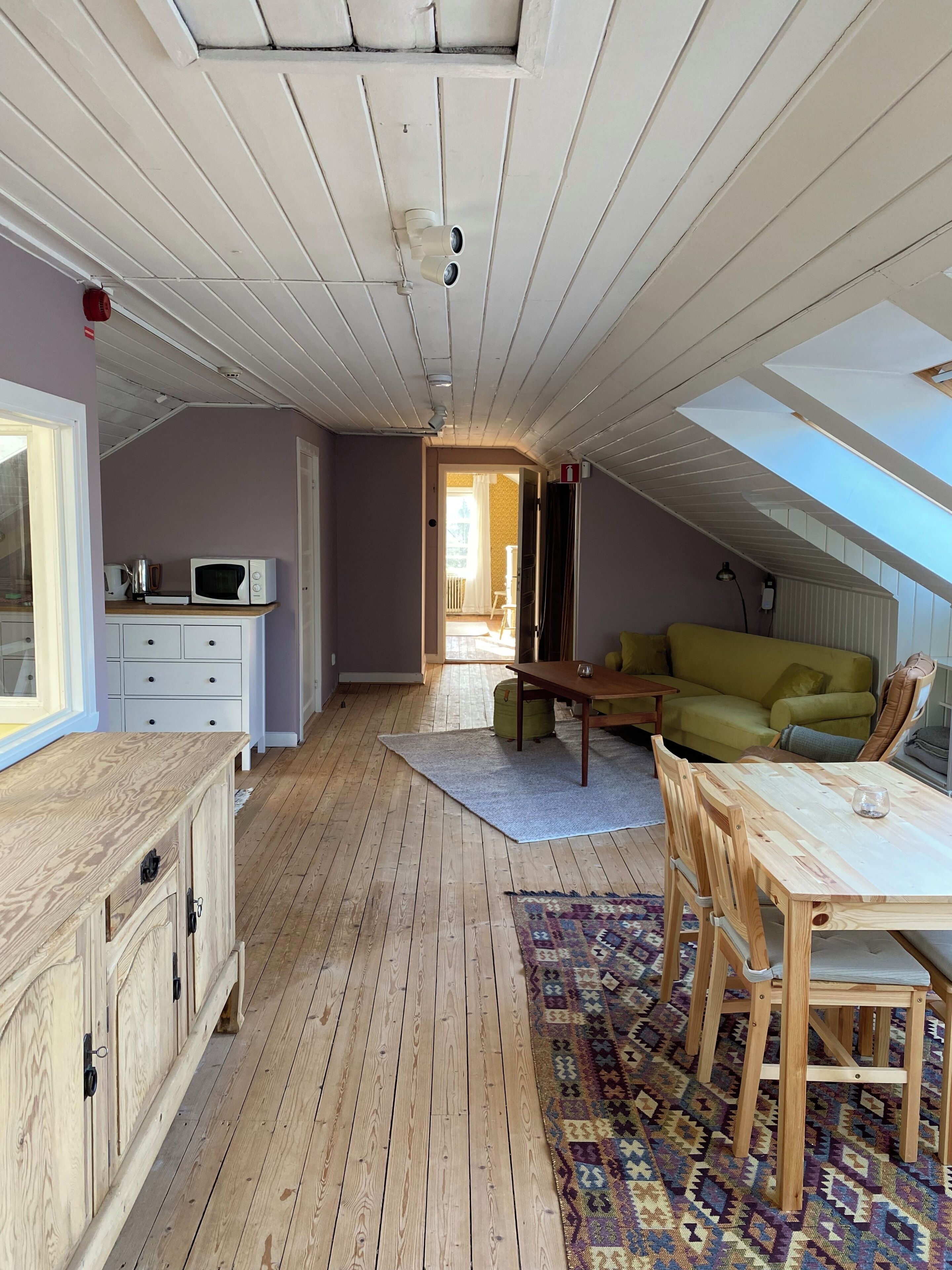 A loft-style room with a wooden floor, a dining table with chairs, a sofa, a kitchen area with a microwave, and a skylight.