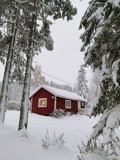 Cozy cabin with fireplace & lake view