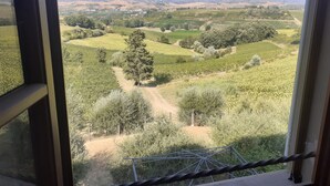A vineyard landscape viewed from a window with a metal railing. - Old Tuscan farmhouse in the heart of Tuscany powered by green energy (Gambassi Terme)