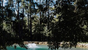 Un cadre naturel agrémenté d’un élément aquatique, entouré d’une végétation luxuriante et d’arbres.