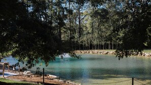 A tranquil lake surrounded by dense trees, with a clear view of the water and a rocky shoreline. - The Artemis Cottage - Romantic Couples Retreat (Woodlands)