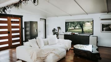 Smart TV, fireplace