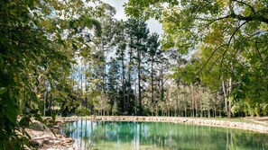 Miscellaneous - The Artemis Cottage - Romantic Couples Retreat (Woodlands)