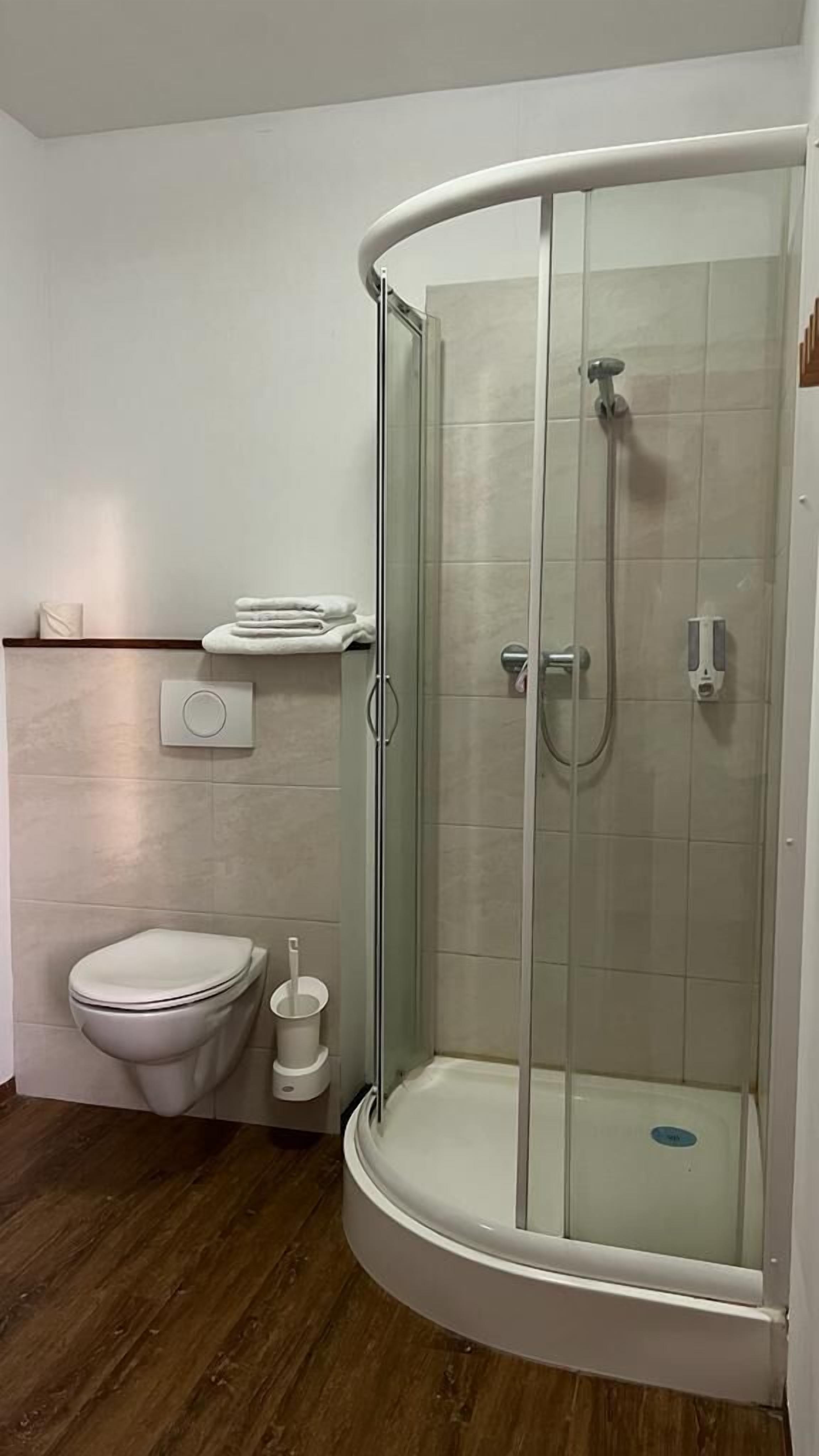 A modern bathroom with a glass-enclosed shower, a toilet, and a towel rack.