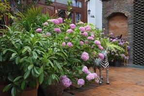 A garden with pink flowers and a zebra statue. - Liushanmen Inn (Lijiang)