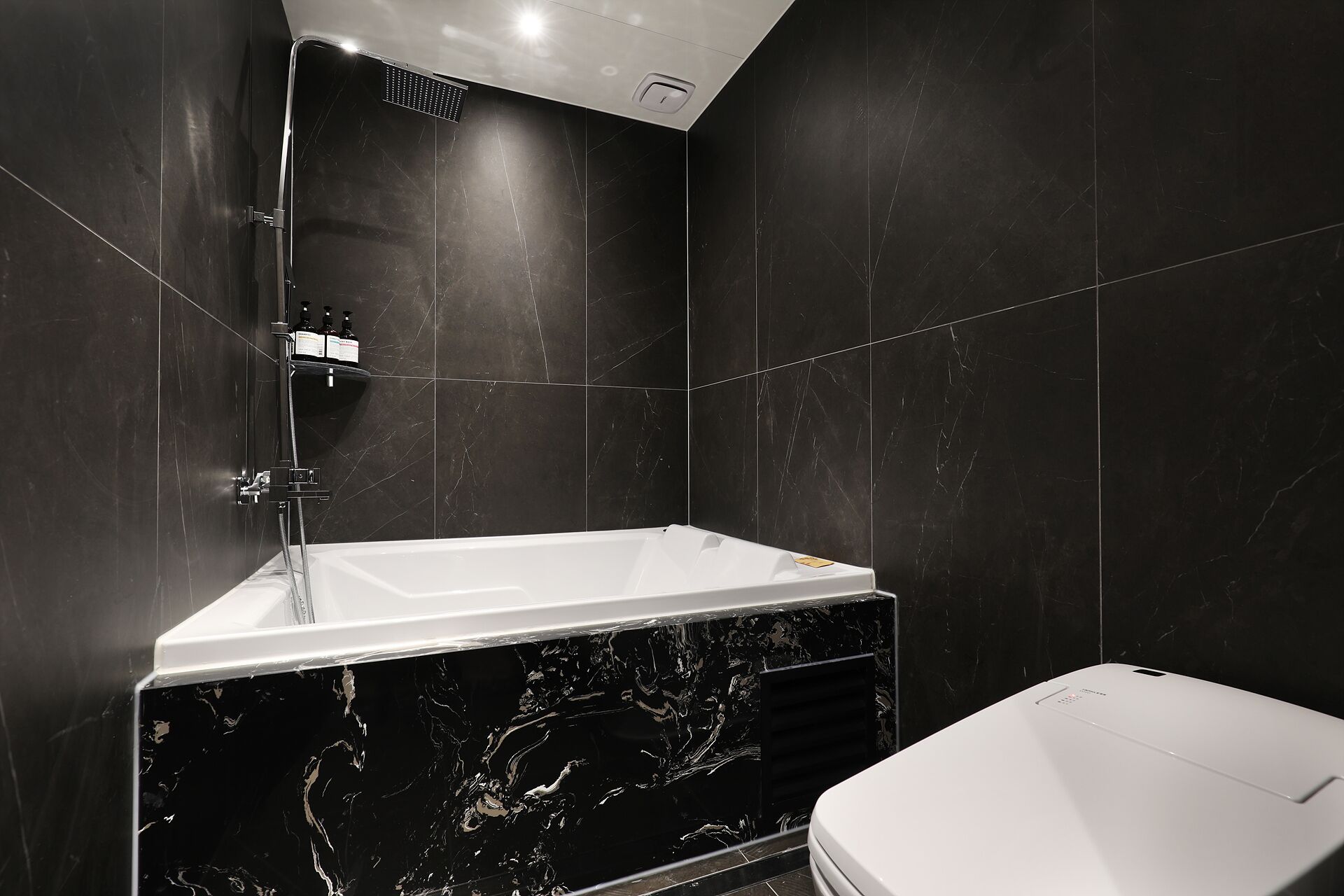 A modern bathroom with a freestanding bathtub, a toilet, and a showerhead.