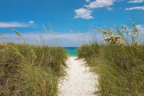 Remarkably Updated 3/2 in Seagrove Highlands - Gulf Views Sleeps 9!