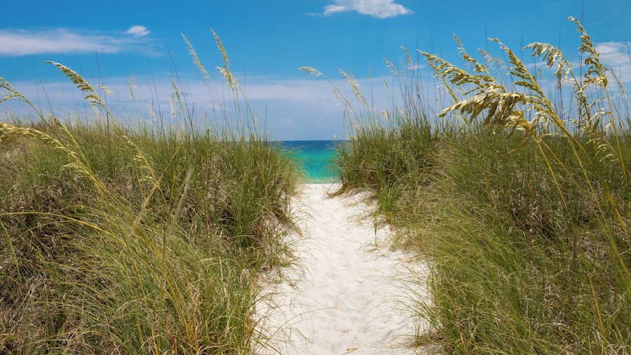 Remarkably Updated 3/2 in Seagrove Highlands - Gulf Views Sleeps 9!