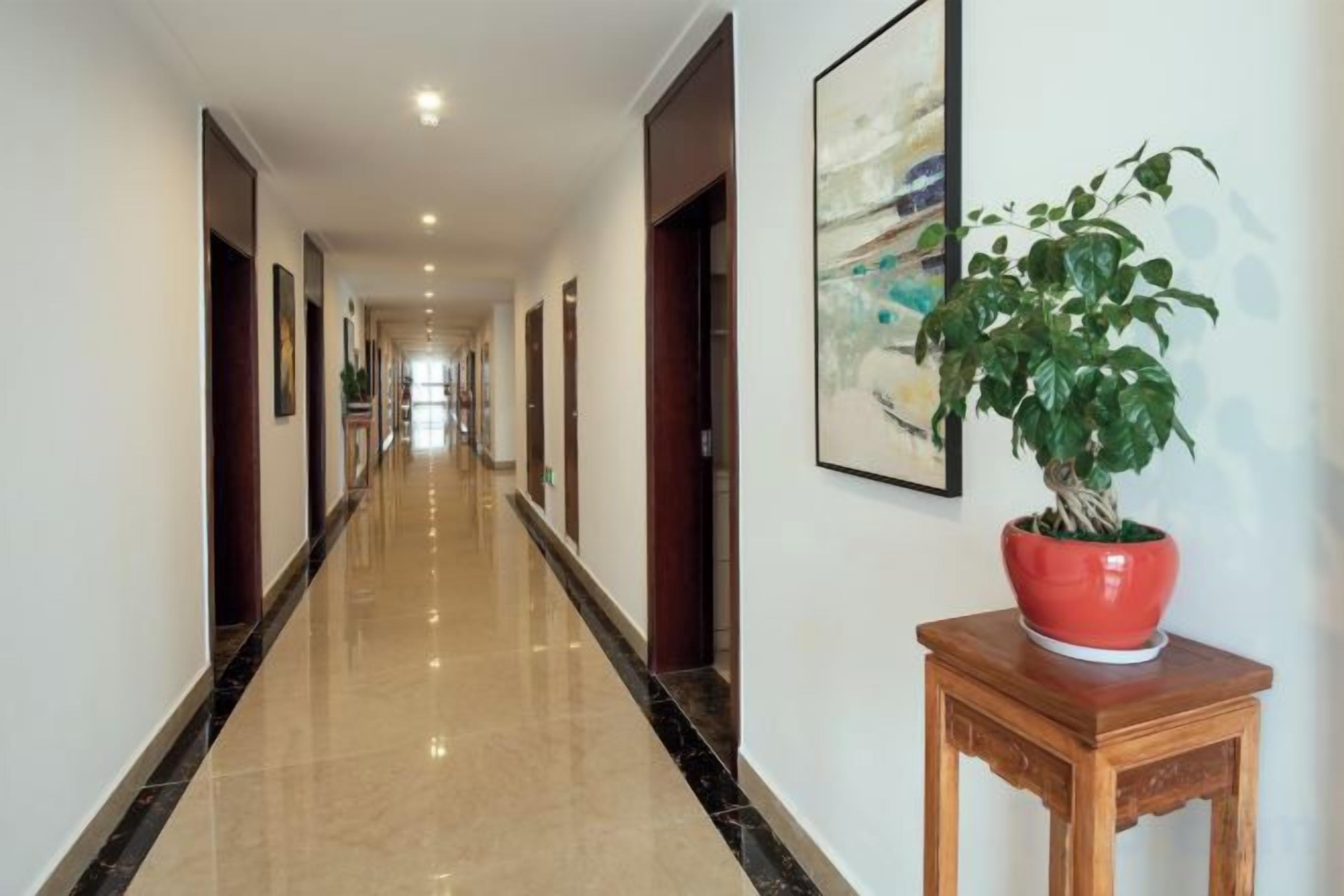 A hotel corridor with a polished floor, wooden doors, and a potted plant on a wooden table.