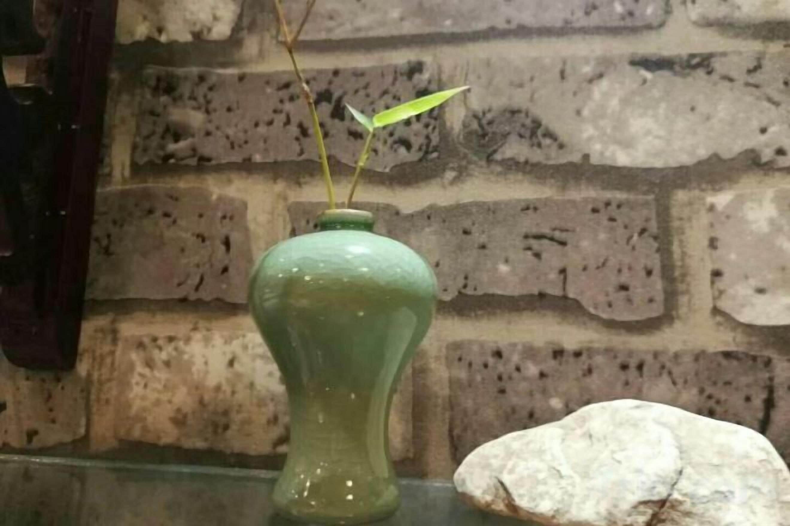 Een groene vaas met een plantje op een glazen oppervlak.