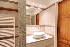 Shower, hair dryer, bidet, towels