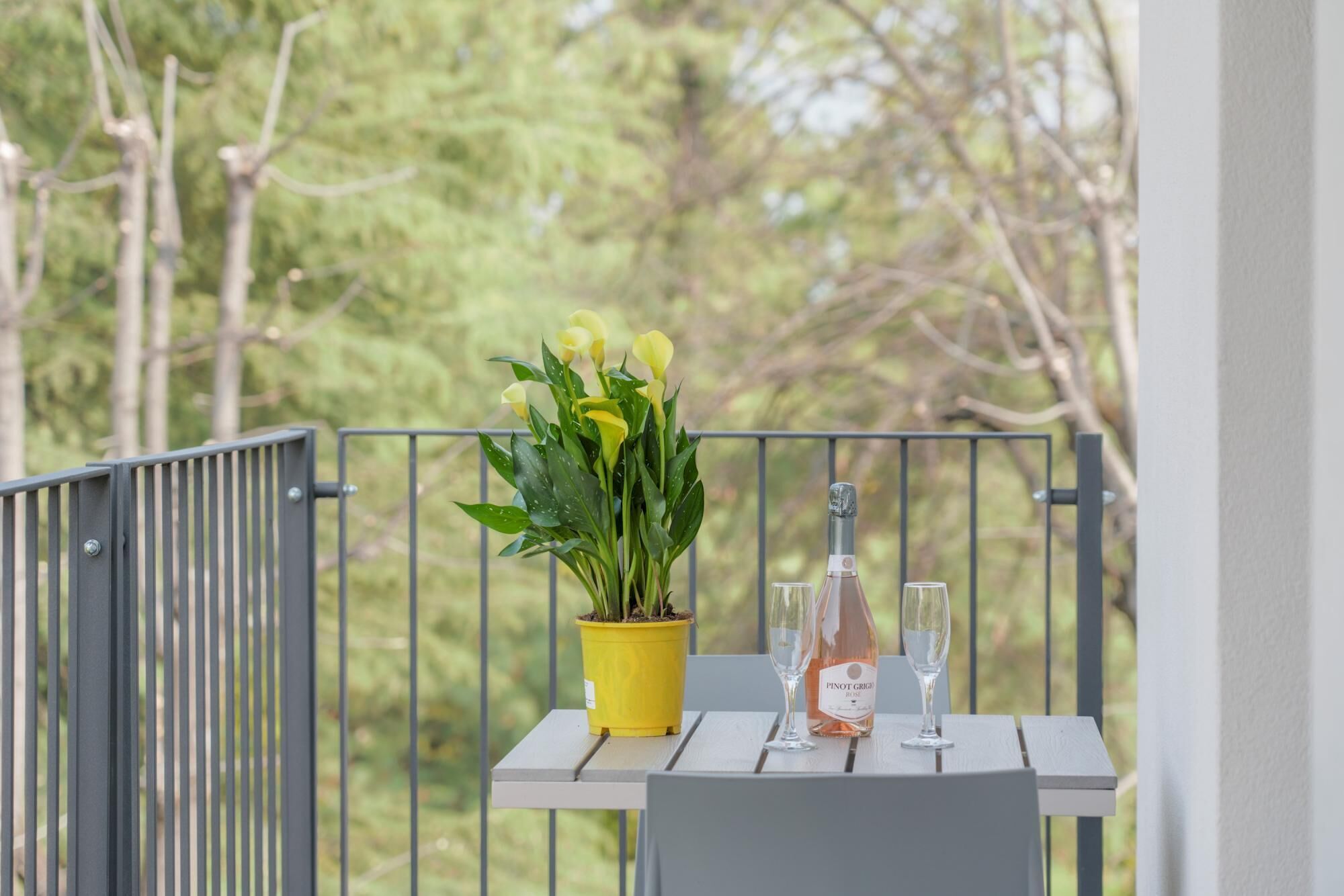Un balcón con una planta en maceta, una botella de Pinot Grigio y dos copas sobre una mesa blanca.