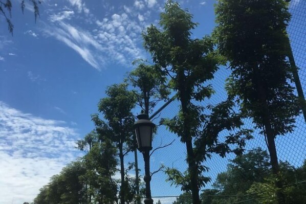 A street scene with a lamppost and trees under a clear blue sky.