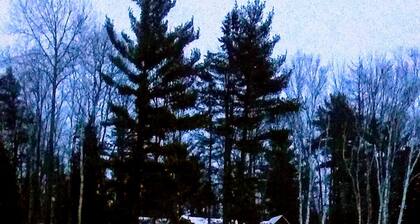 Cozy Cabin on the River