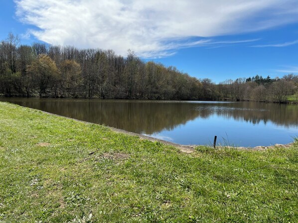 A calm lake with a grassy bank and trees in the background.