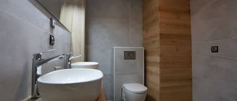 Shower, hair dryer, bidet, towels