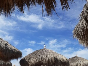 Escena de playa con sombrillas de paja y un cielo azul despejado.