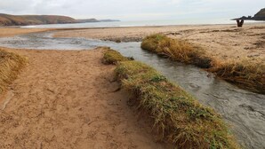 Una playa arenosa con un estrecho canal de agua y zonas de césped.