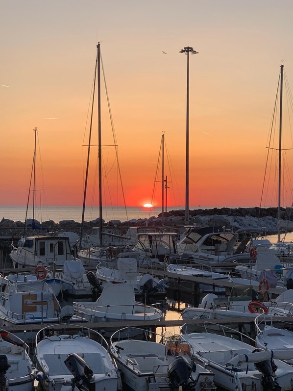 Marina
