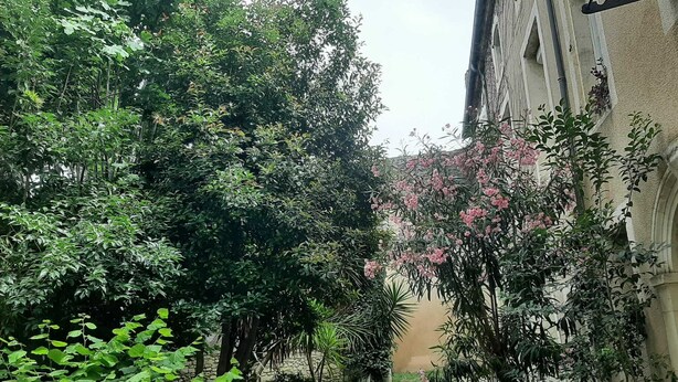 Un sentiero stretto fiancheggiato da vegetazione lussureggiante e piante fiorite, che conduce a un edificio con muro in pietra e finestre ad arco.