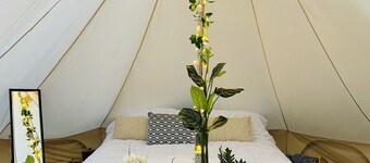 Elmbridge Farm Damson Bell Tent