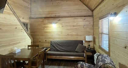 Lazy River Cabin on the edge of town only 1/2 mile from Current River !