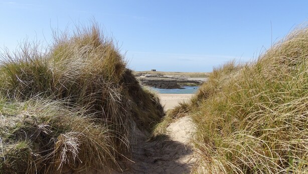 A narrow sandy path flanked by tall grass leading to a beach with calm water and a distant structure. - Mountain View Lodge 2 (Holyhead)