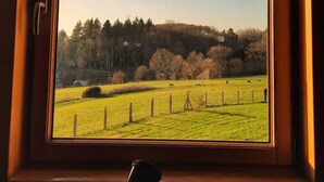 Una ventana con vistas a un campo verde y árboles.
