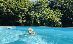 Outdoor pool - Cozy country home with private pool (Jumilhac-le-Grand)