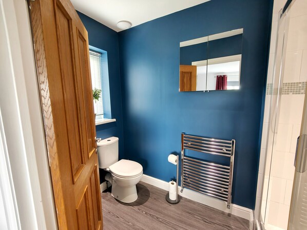 A bathroom with a blue wall, a white toilet, a towel rack, and a shower area.