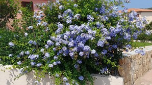 Een tuin met bloeiende planten en een stenen muur.