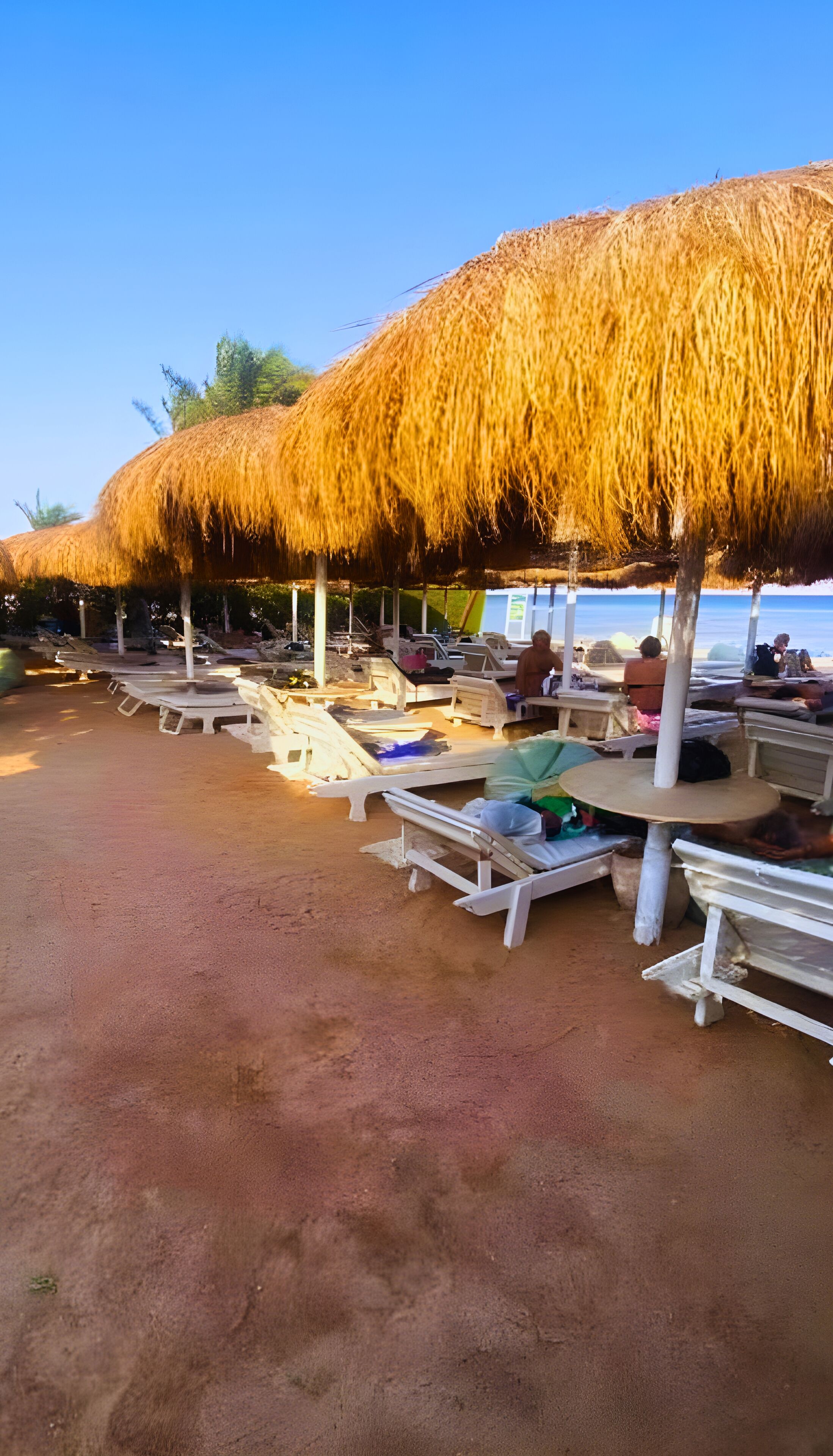 A beachside area with thatched umbrellas and white lounge chairs arranged along the sand.